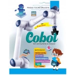 COBOT - 6